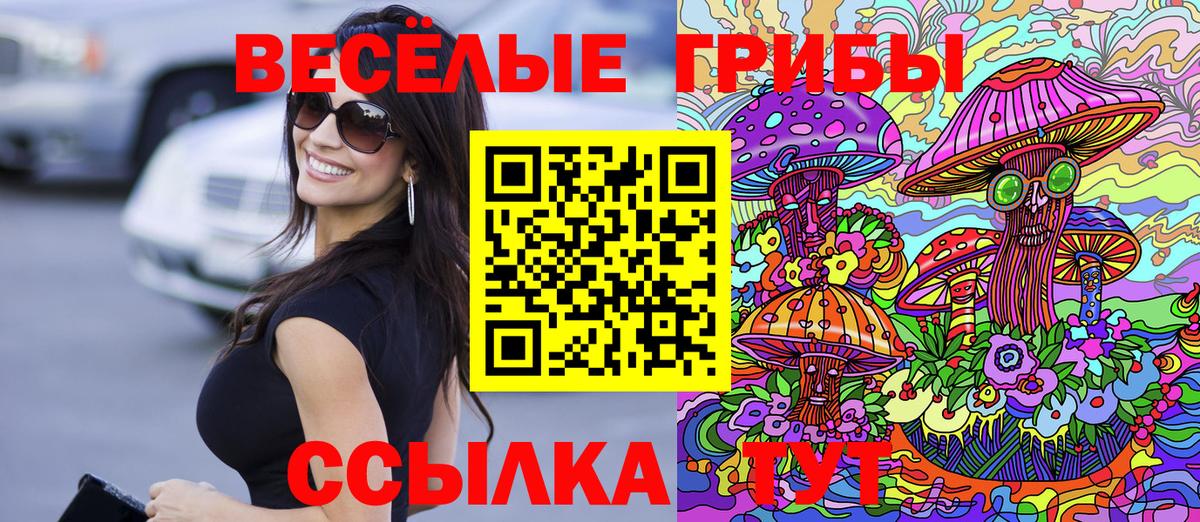 Галлюциногенные грибы прущие грибы  Вход с VPN  Спасск-Дальний  Галлюциногенные грибы прущие грибы 